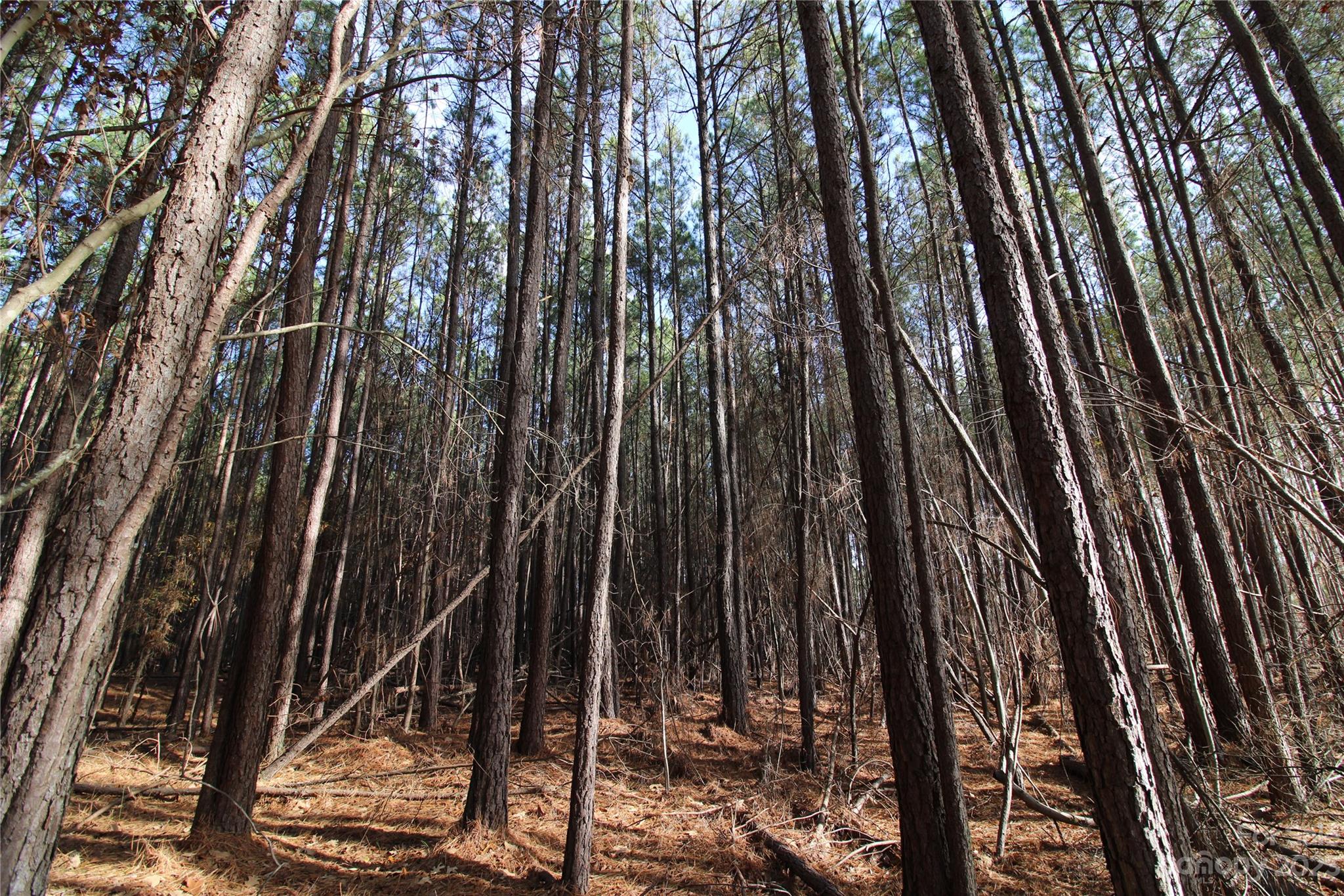 Olde York Farms - Land