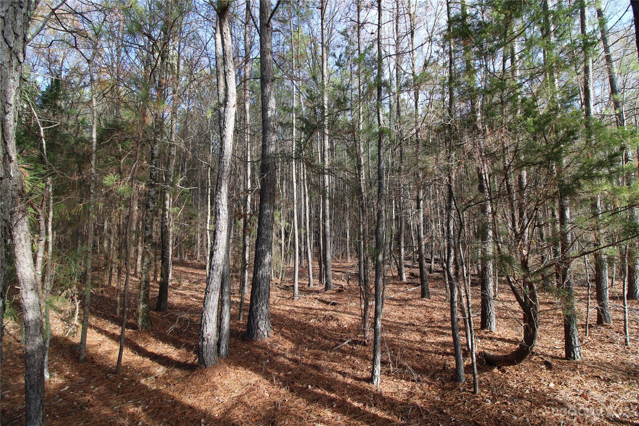 Olde York Farms - Land