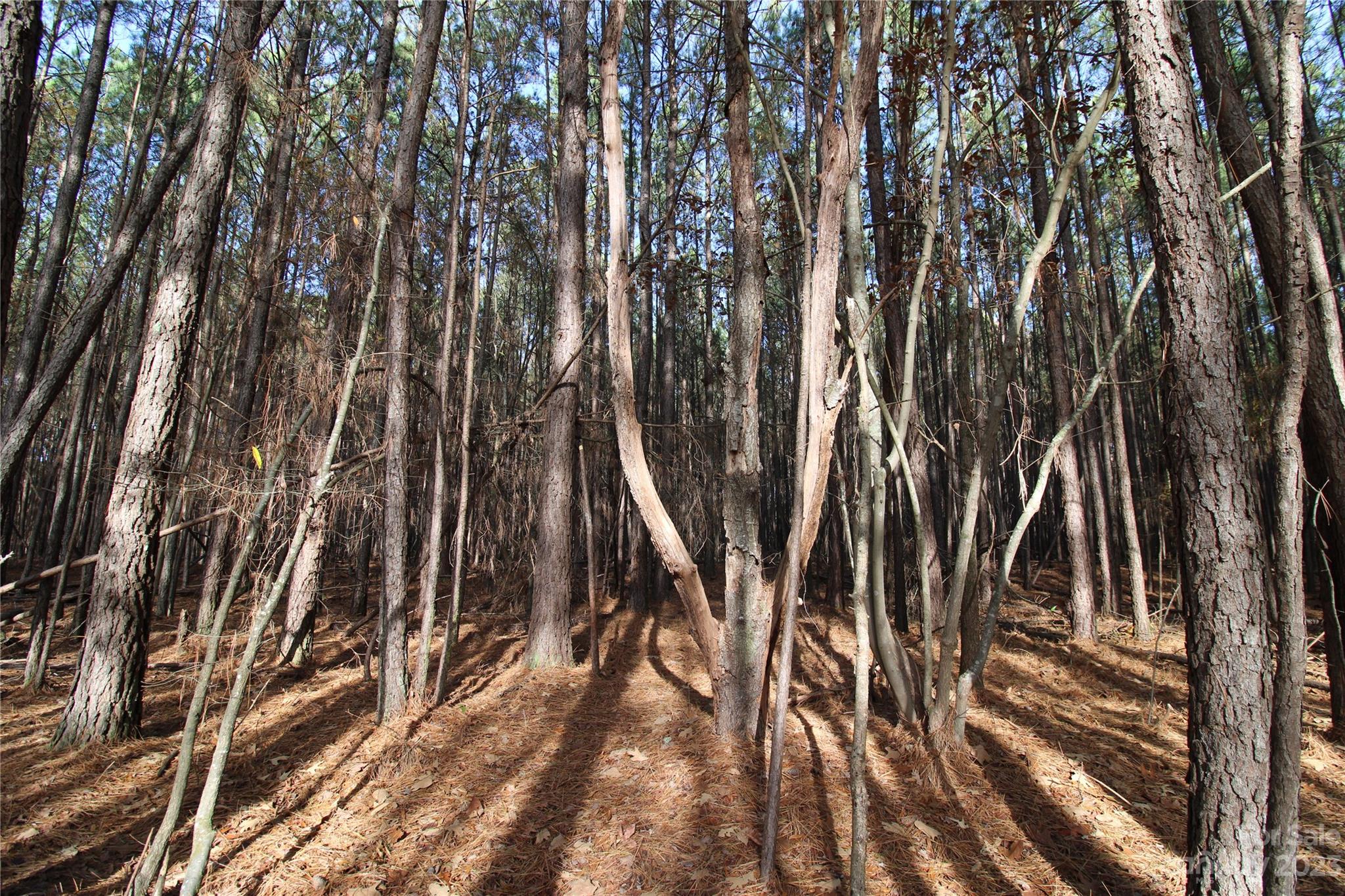 Olde York Farms - Land