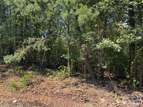 Photo of 0 Katherine Drive, Denver, NC 28037 (MLS # 4420815)