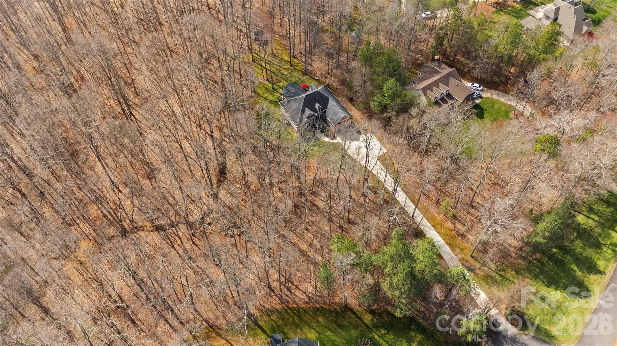 Wild Pine - Residential