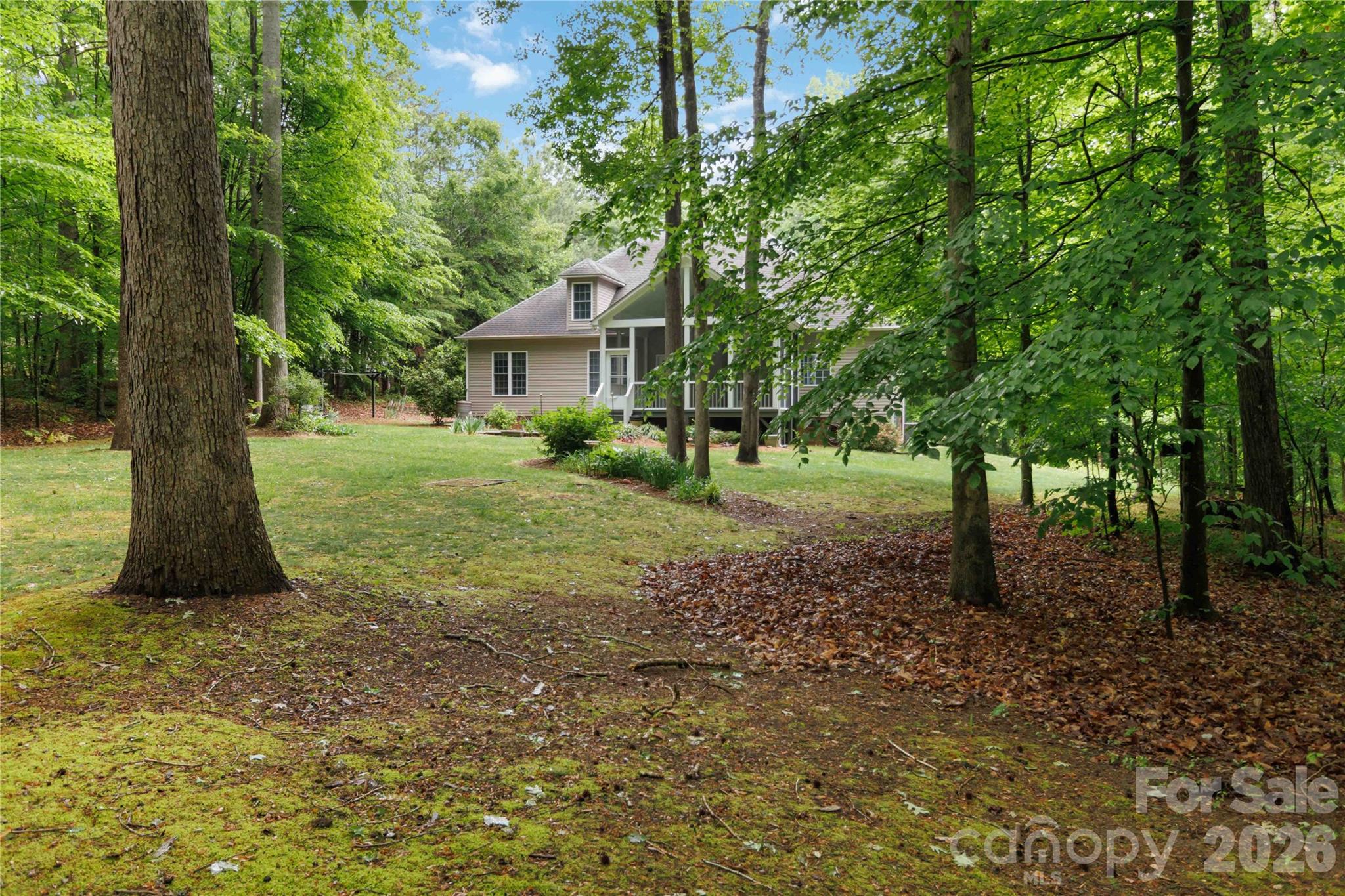Wild Pine - Residential