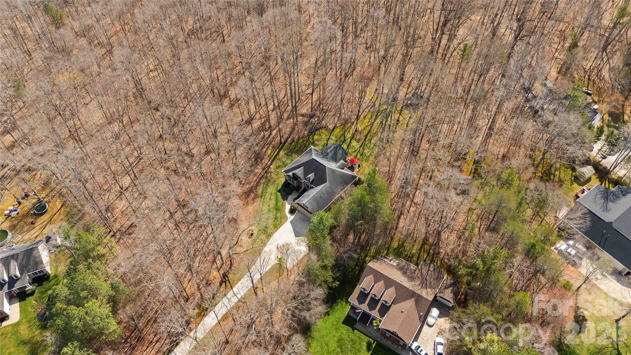 Wild Pine - Residential