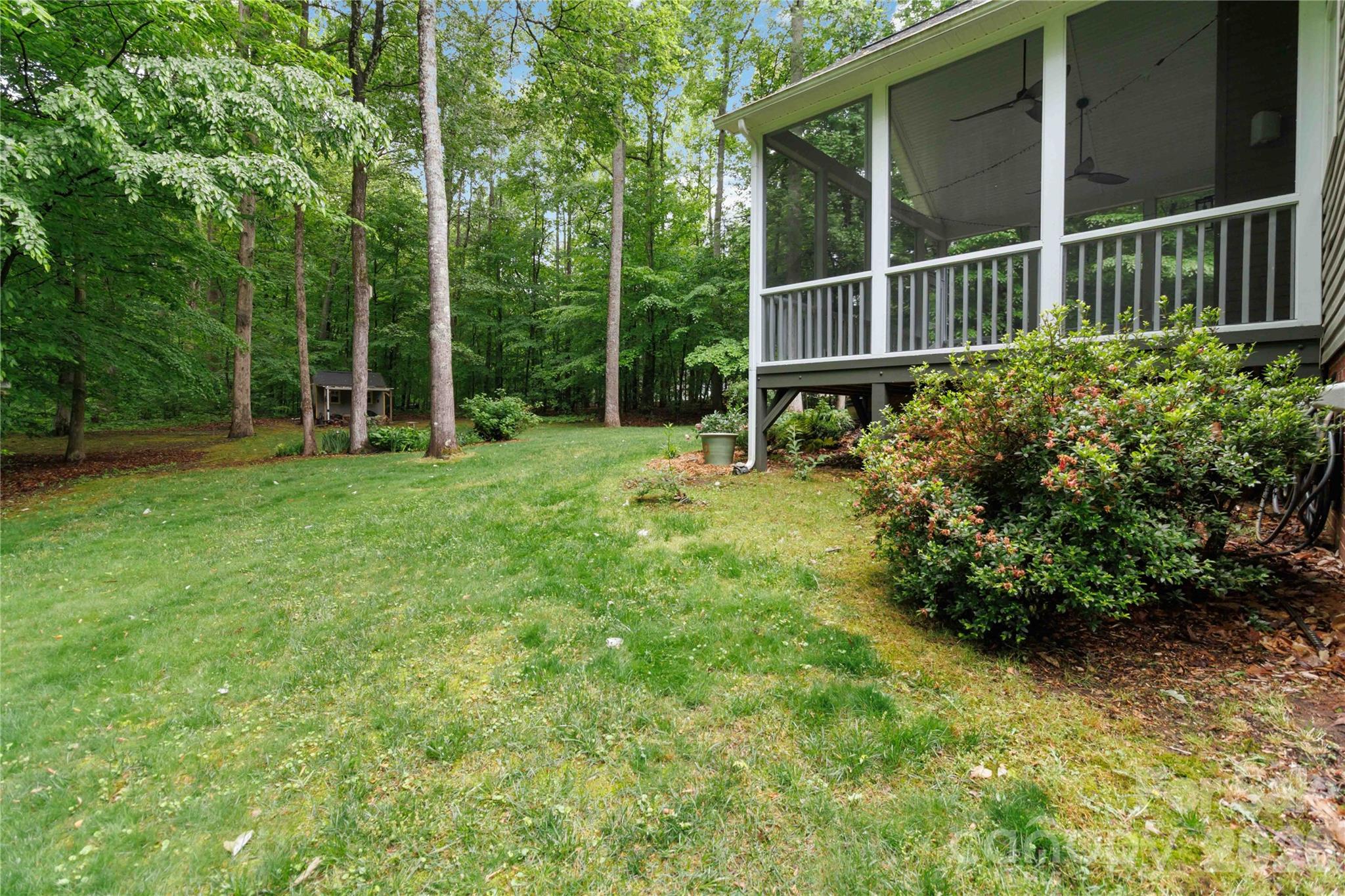 Wild Pine - Residential