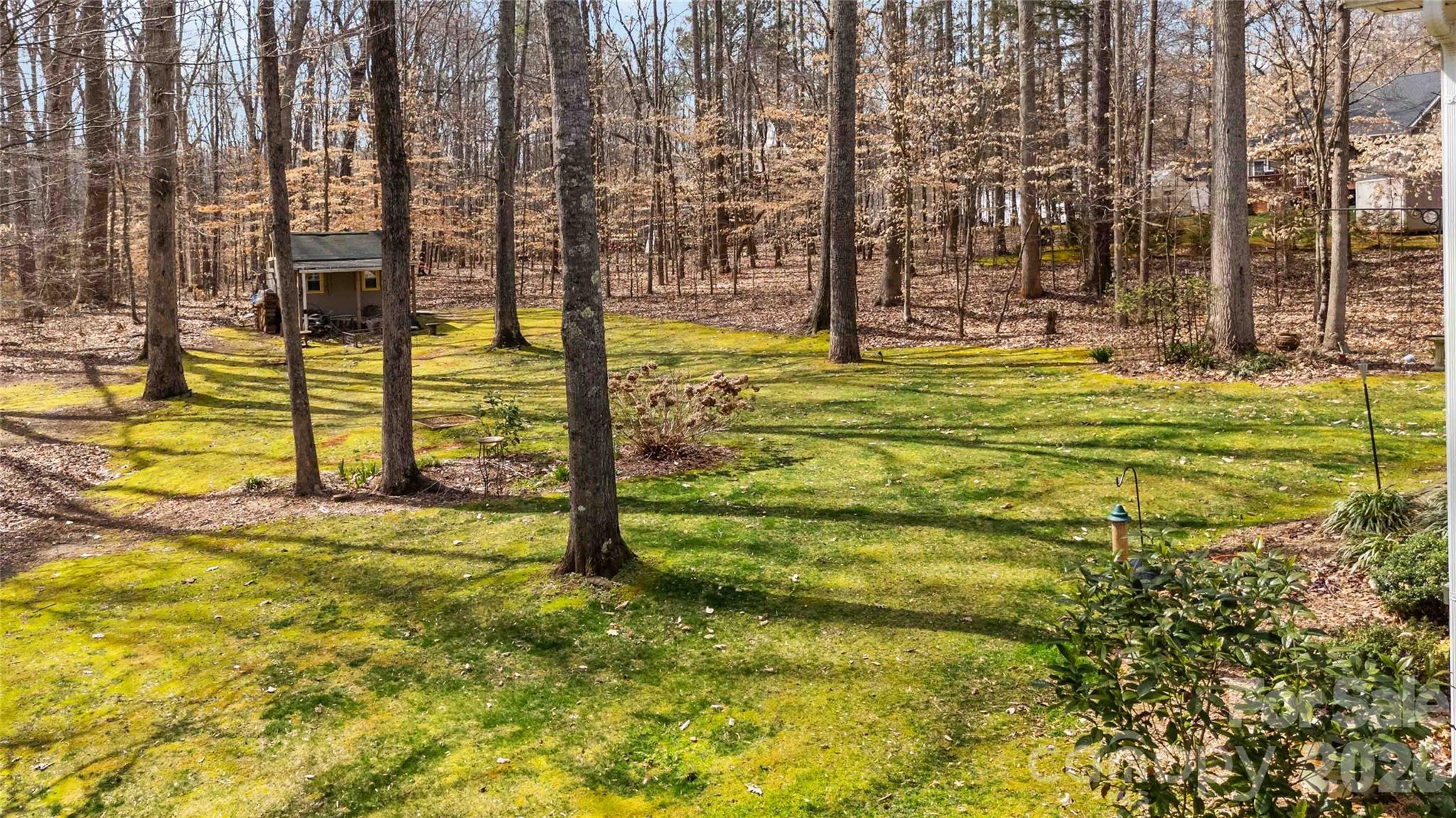 Wild Pine - Residential