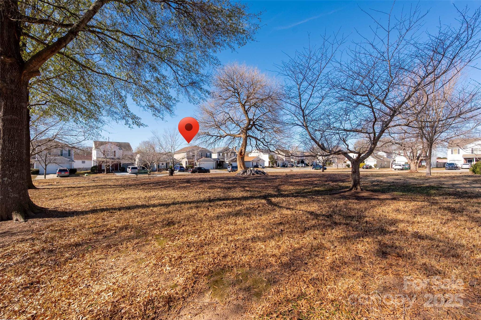 Buckleigh - Residential