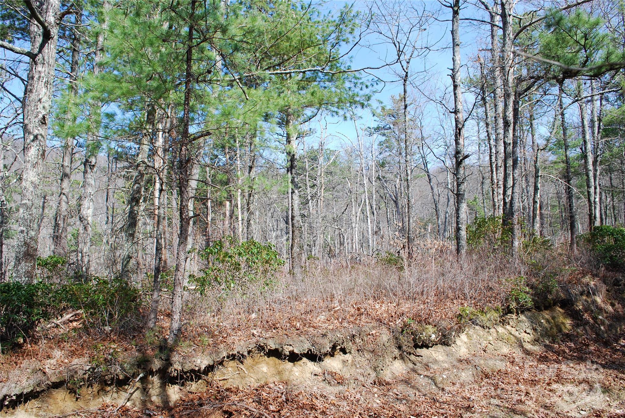 Grapevine Gap - Land