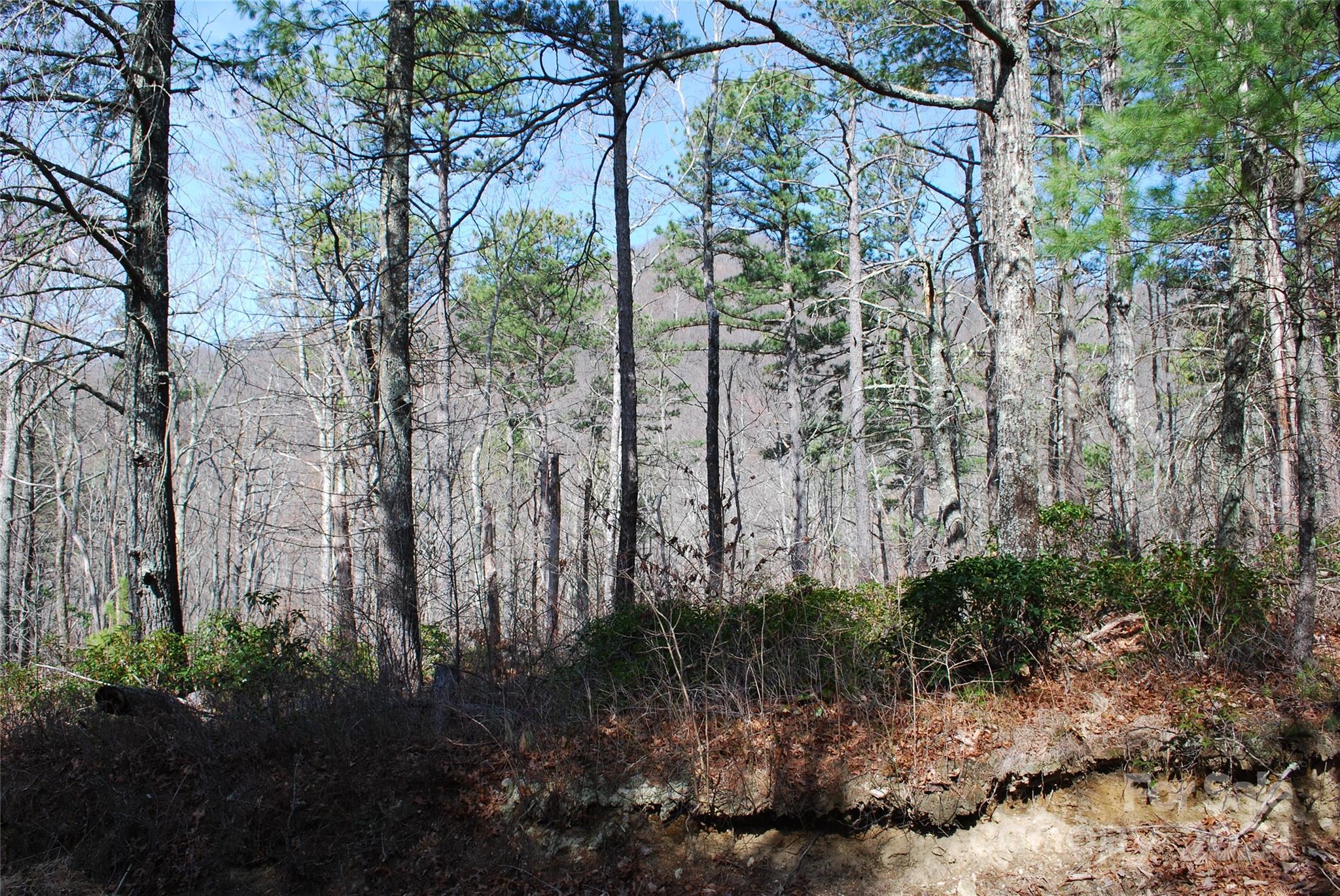 Grapevine Gap - Land