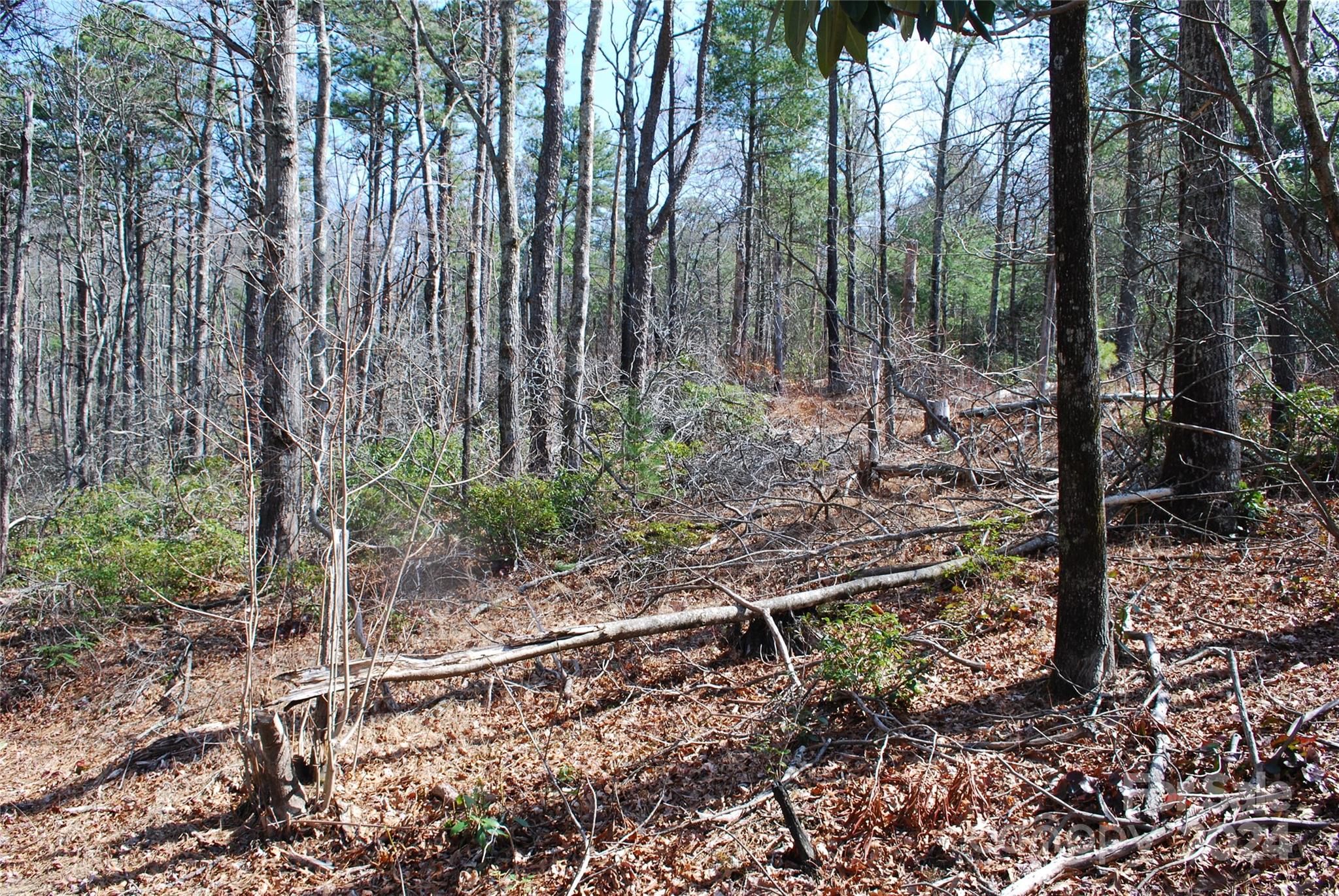 Grapevine Gap - Land