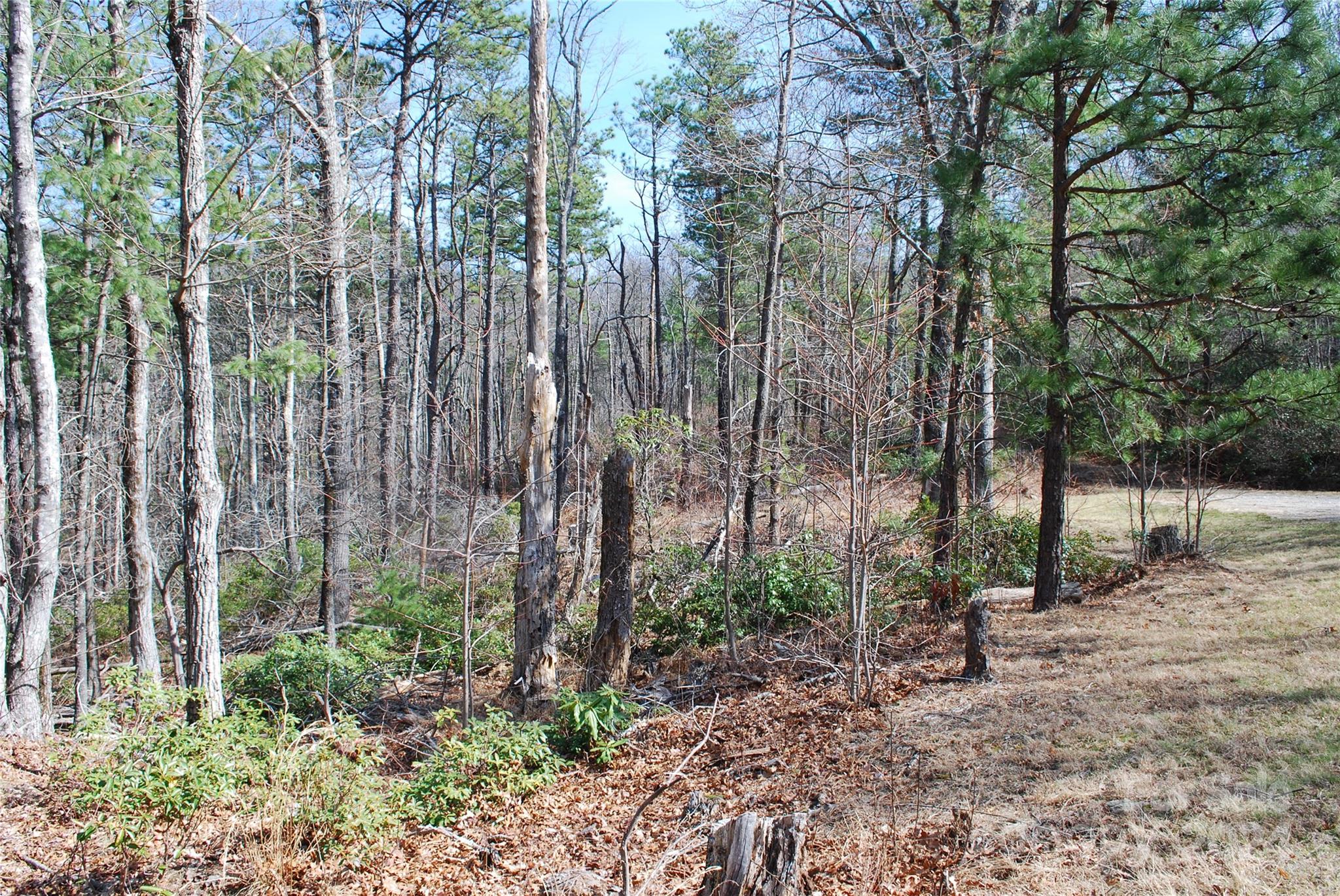 Grapevine Gap - Land