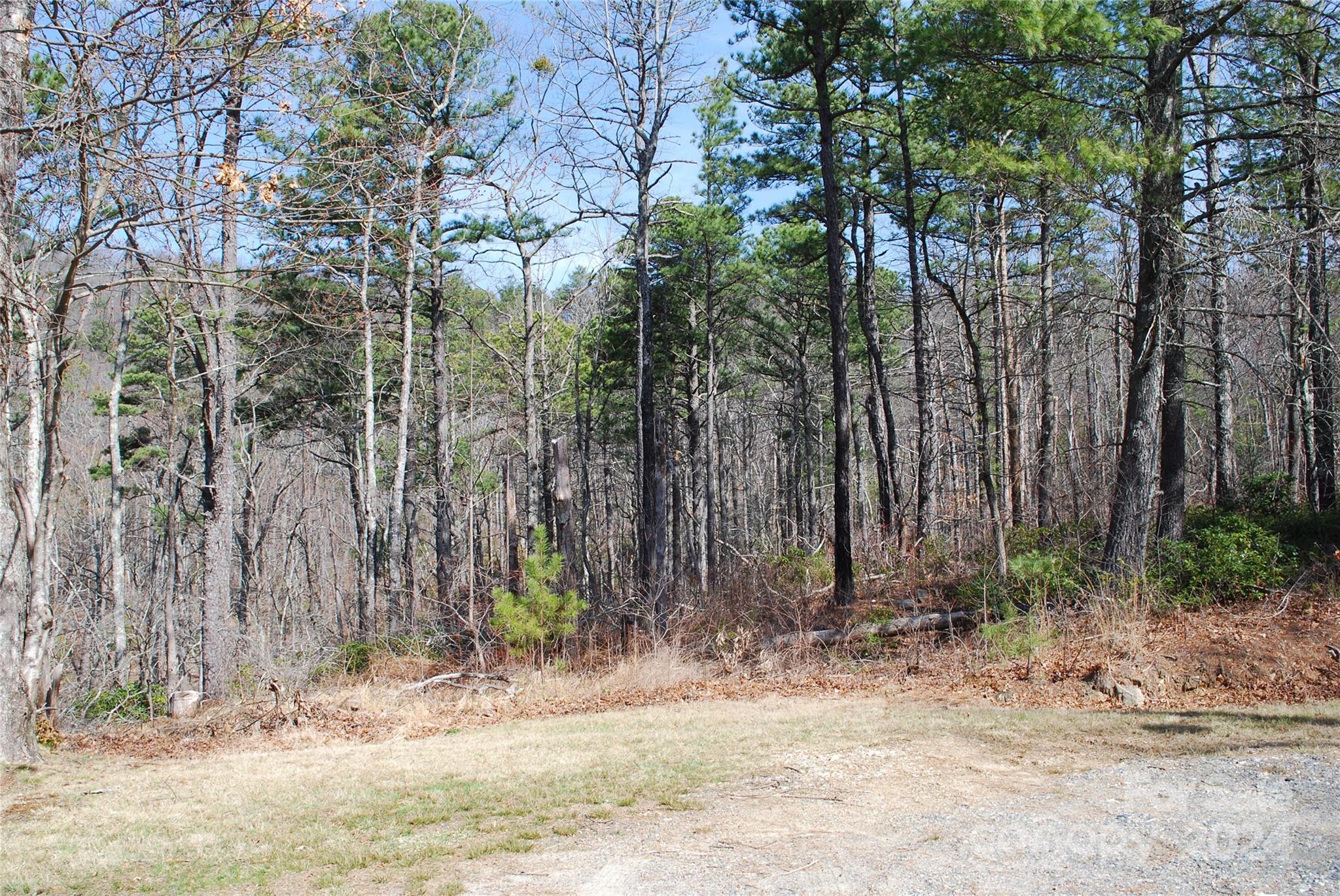 Grapevine Gap - Land