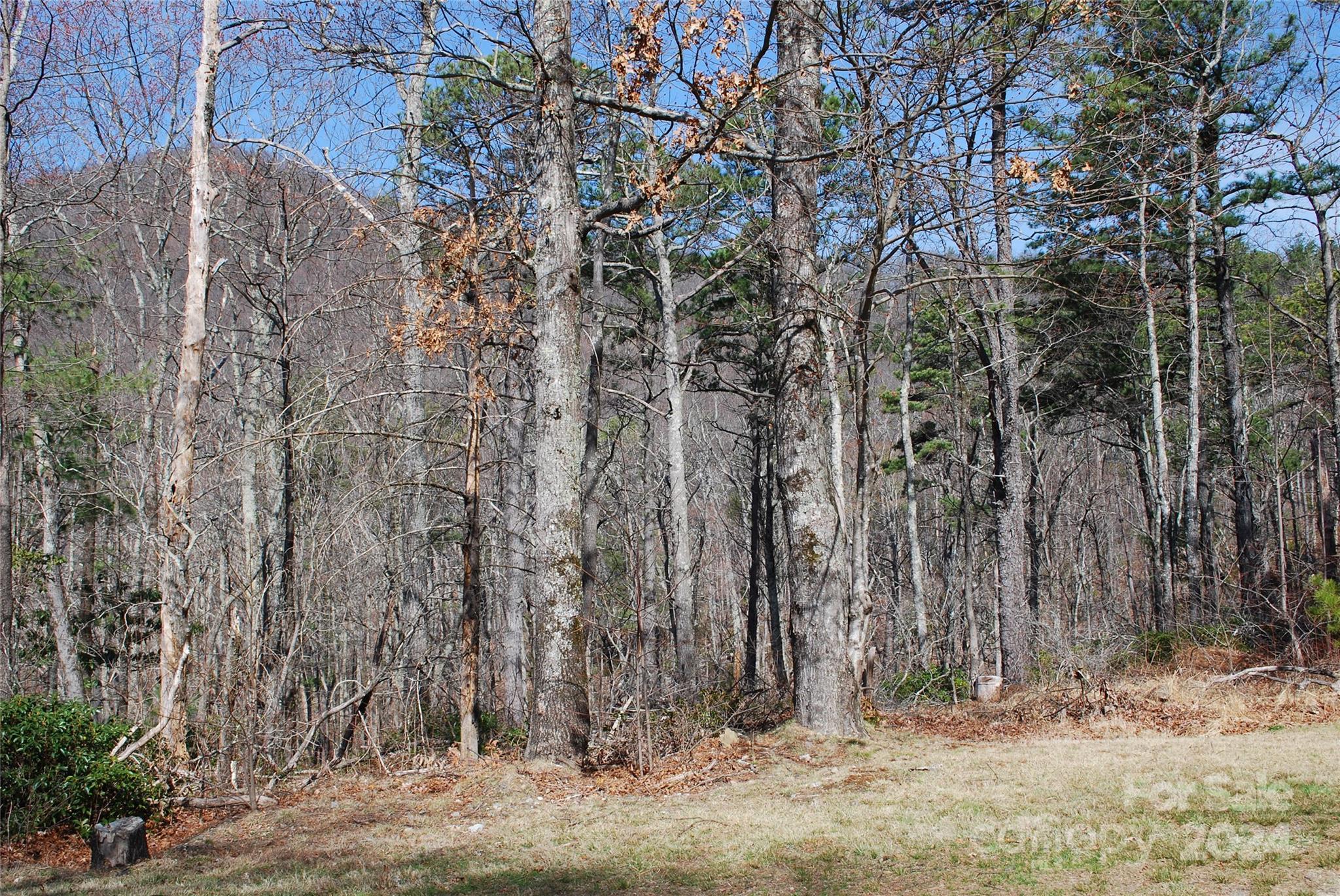 Grapevine Gap - Land