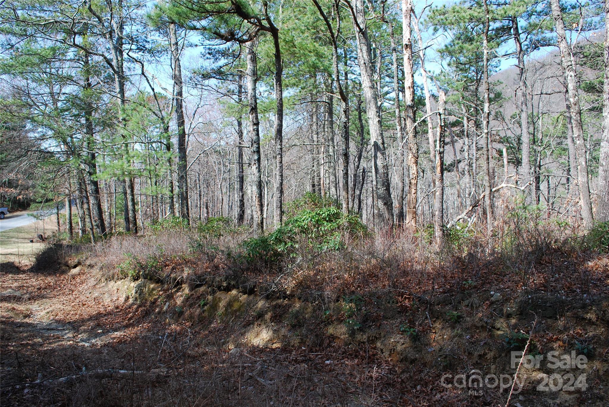 Grapevine Gap - Land