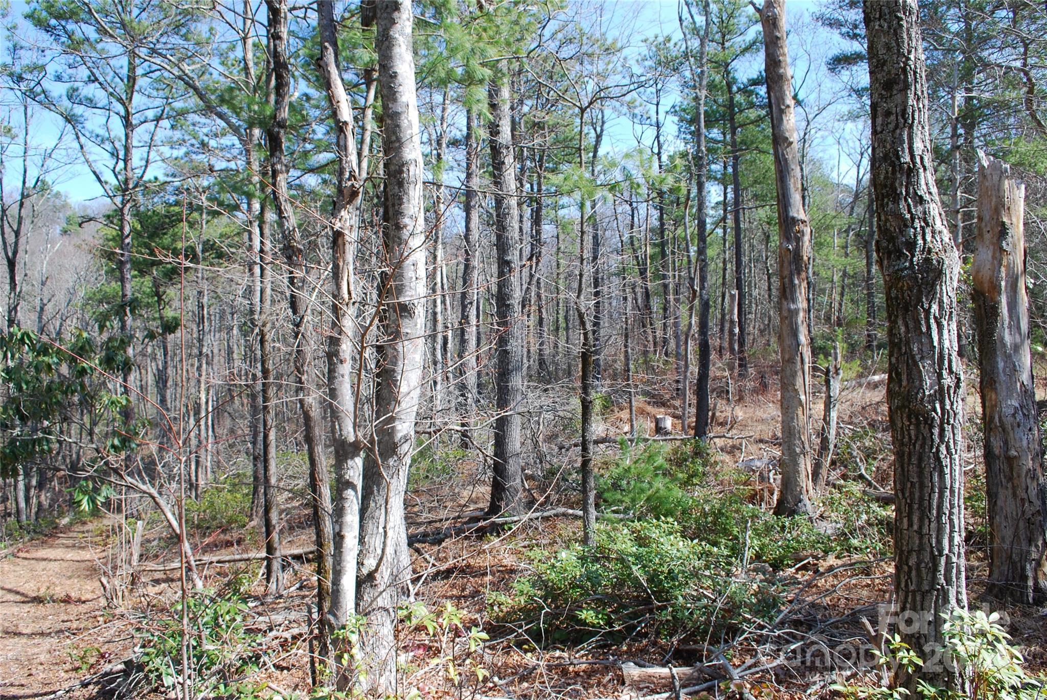 Grapevine Gap - Land