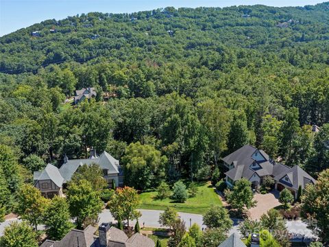 19 Mountain Orchid Way 77 Arden NC 28704