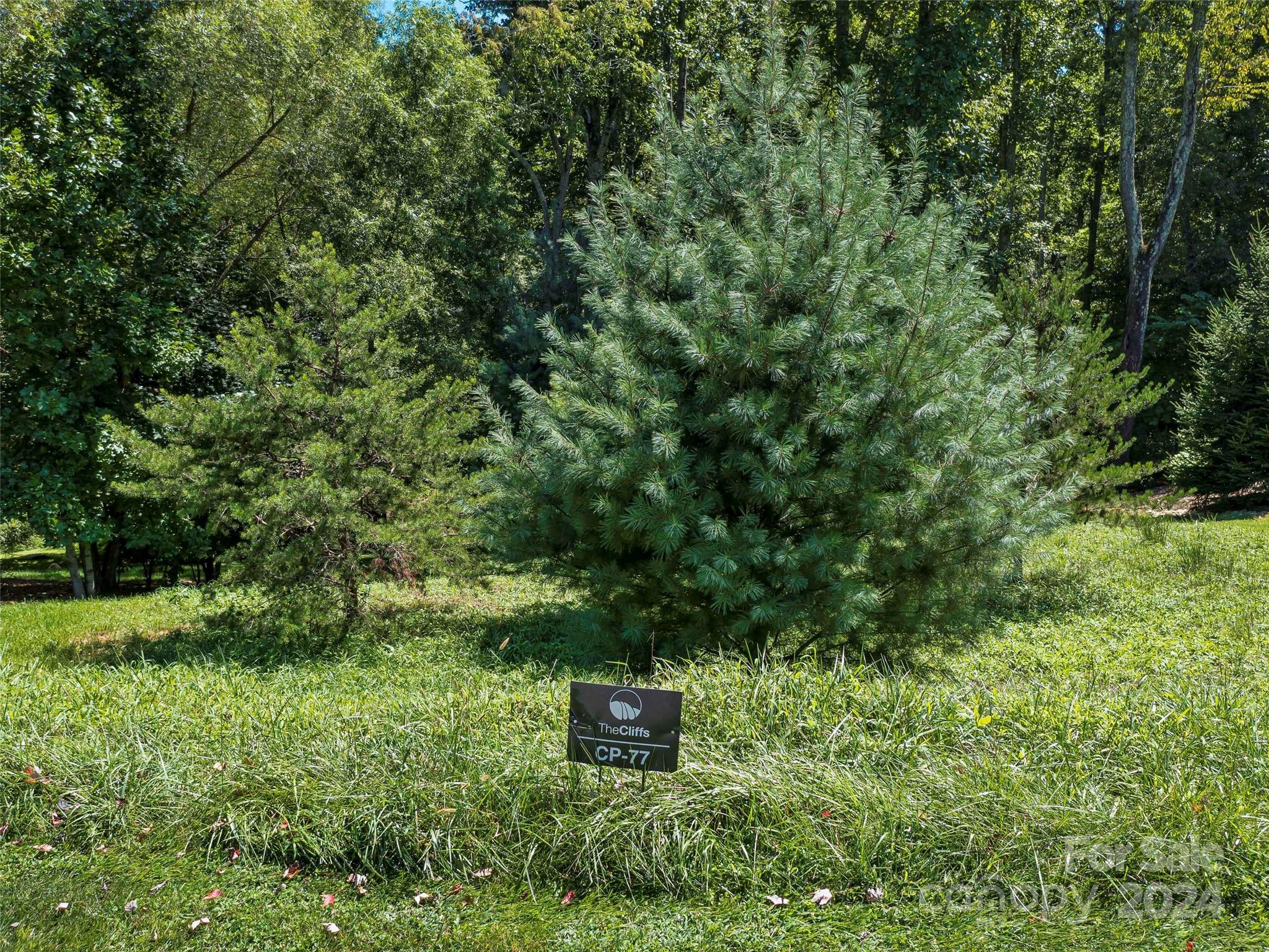 19 Mountain Orchid Way 77