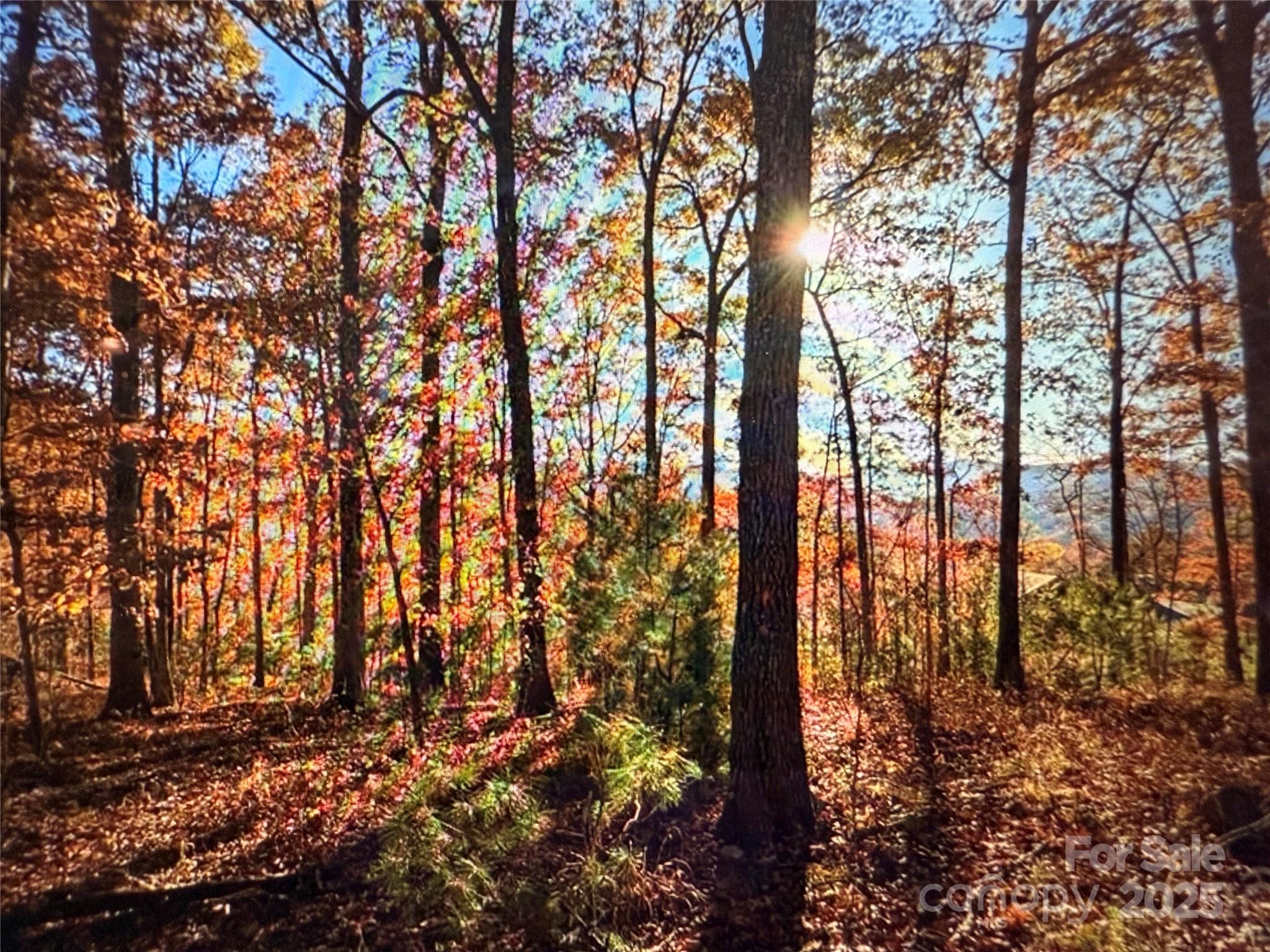 512 Wild River Run 65