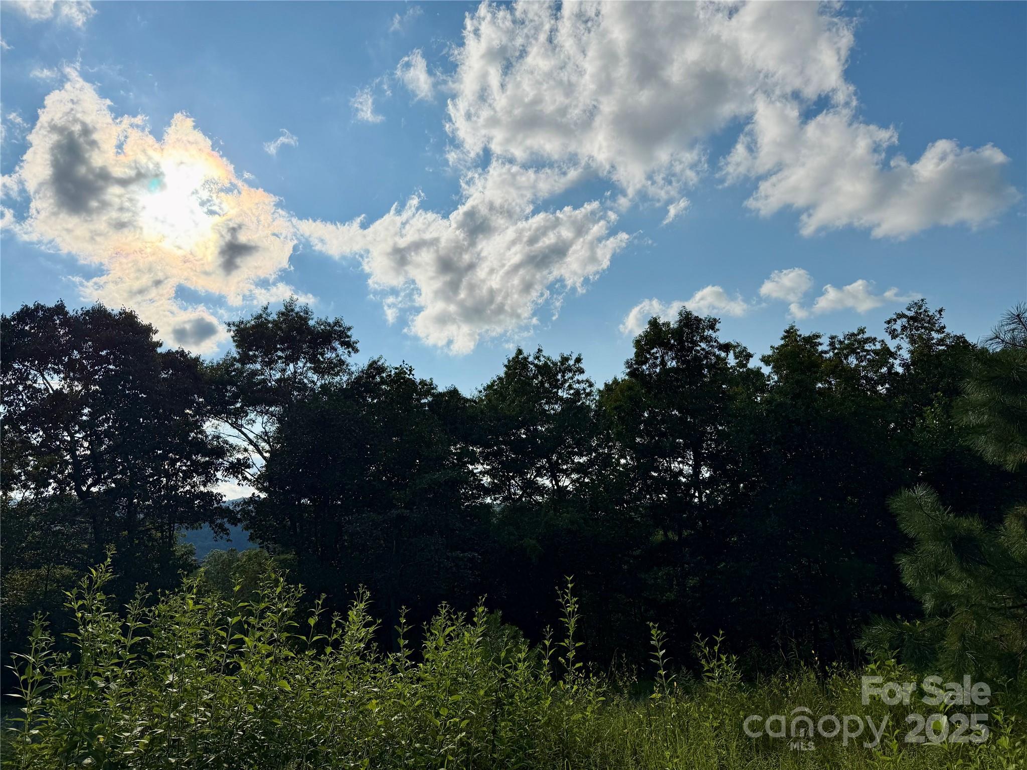 French Broad Crossing - Land