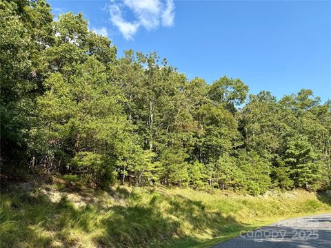 512 Wild River Run 65 Marshall NC 28753