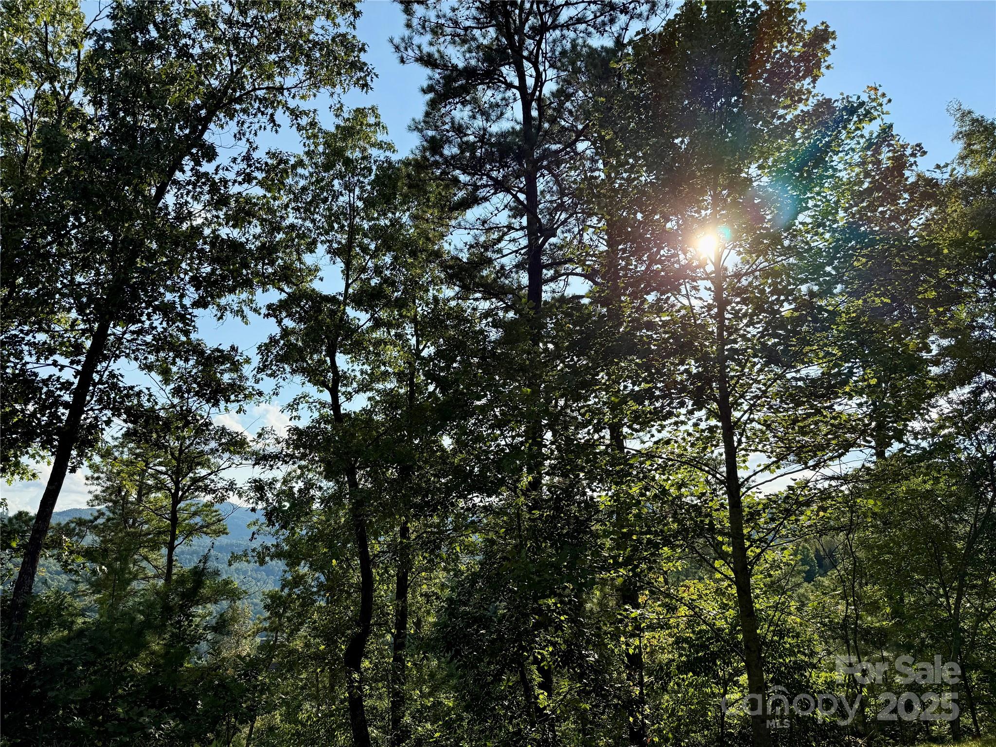 512 Wild River Run 65