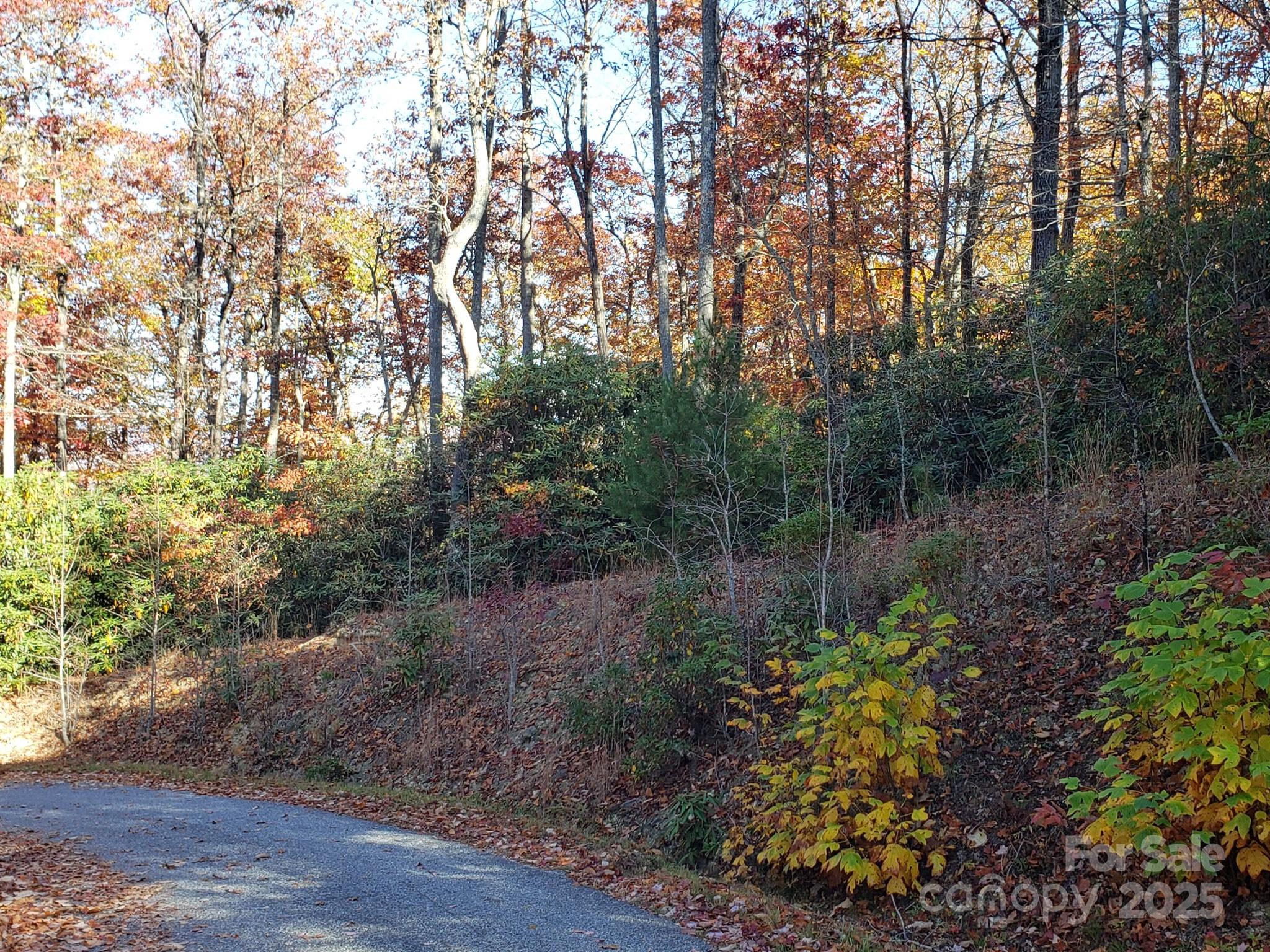 TBD Top Oaks Lane Lot 58