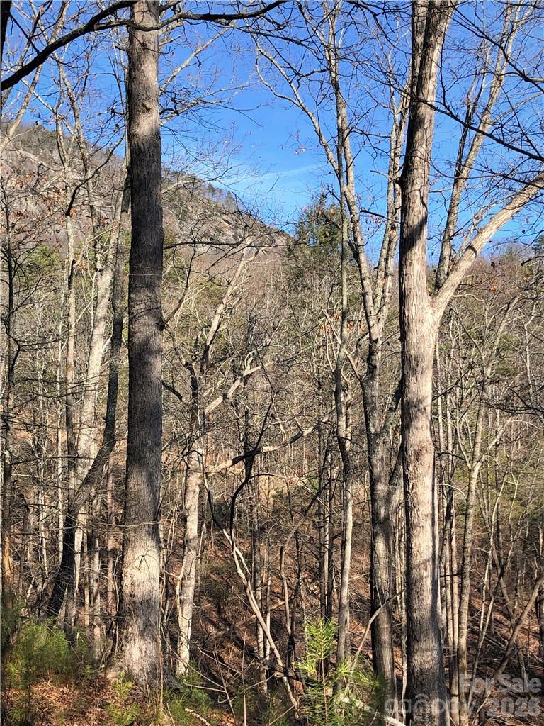 711 Boys Camp Road 48