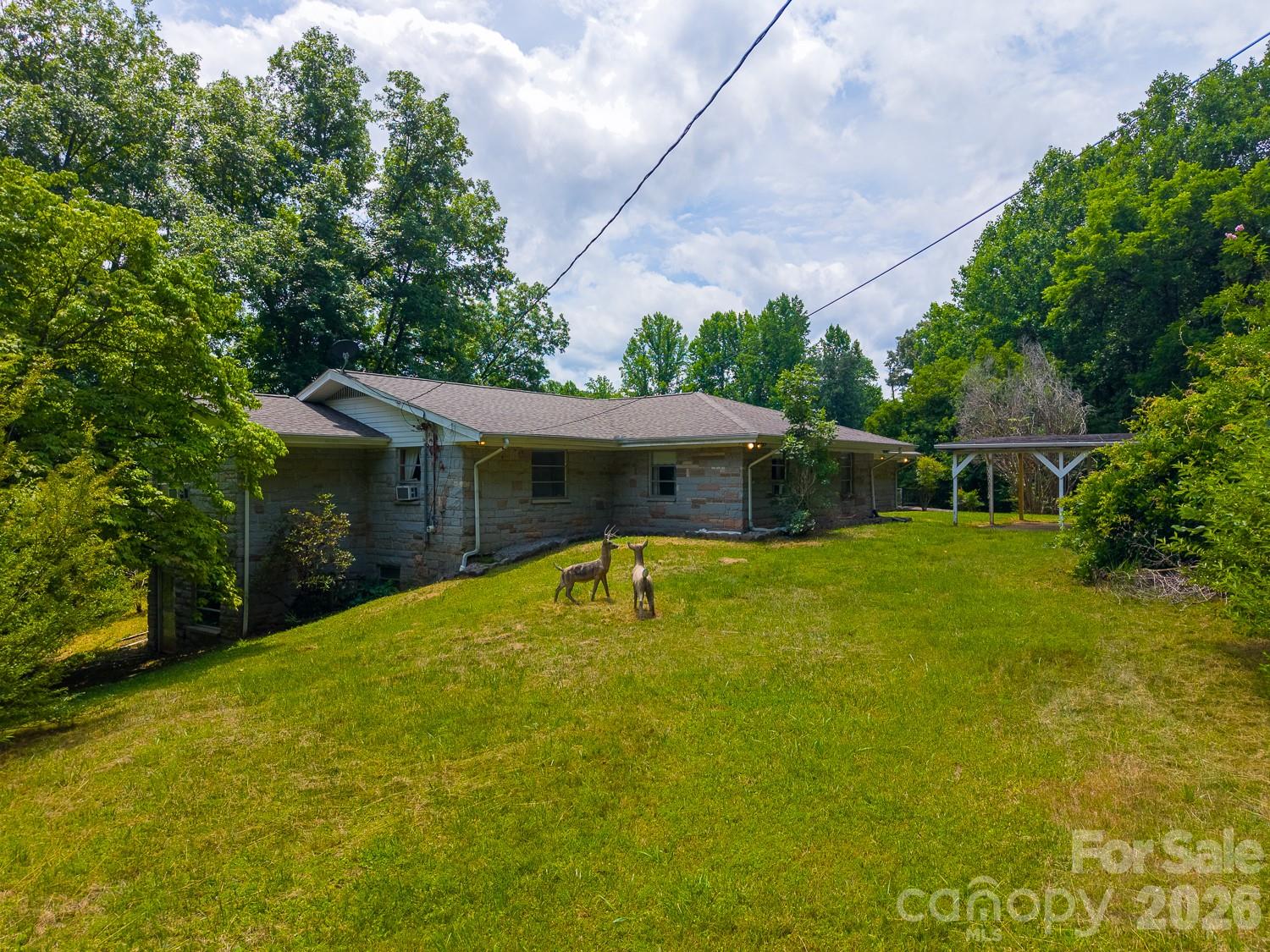 222 Mitchell Mountain Road