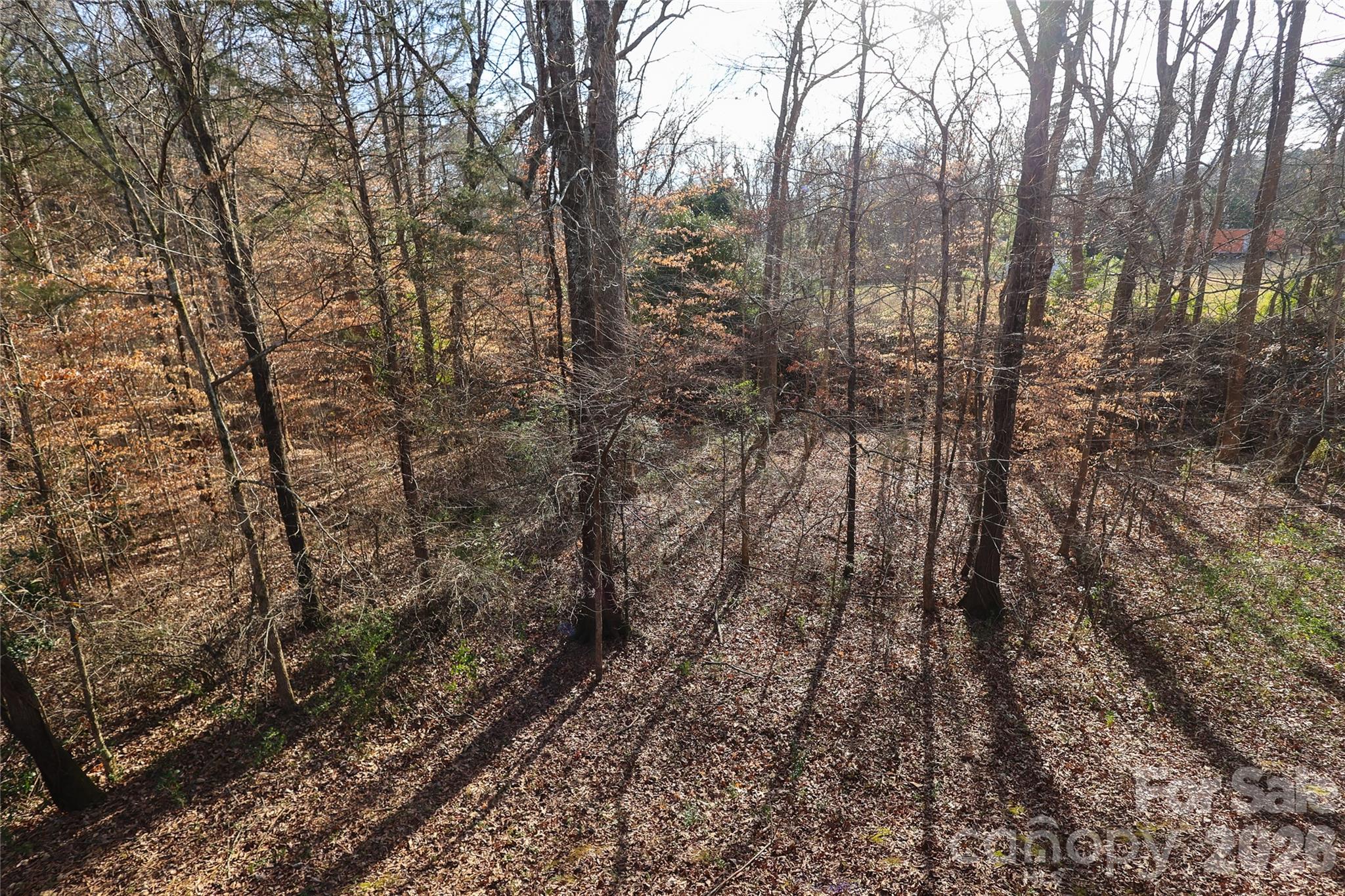 Hammond Lake - Residential