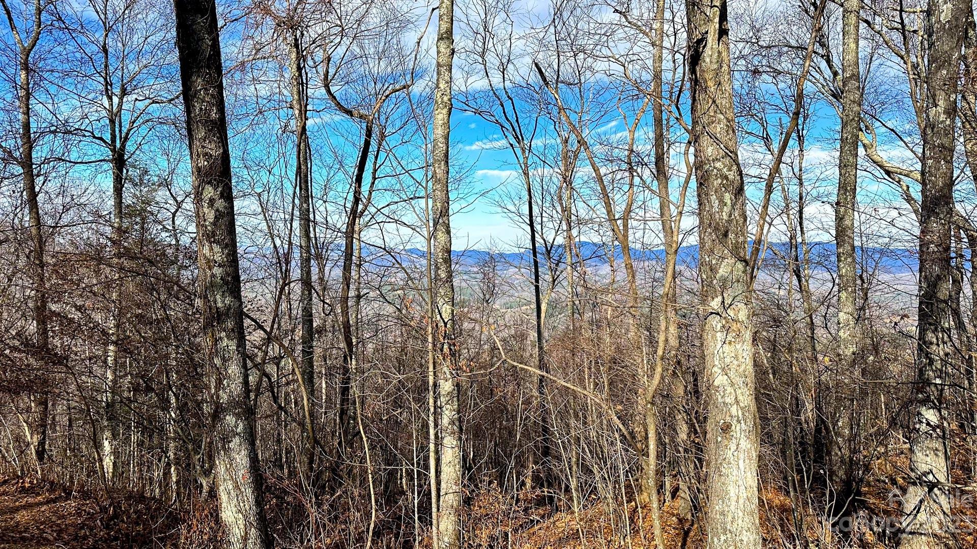 Greystone at Phoenix - Land