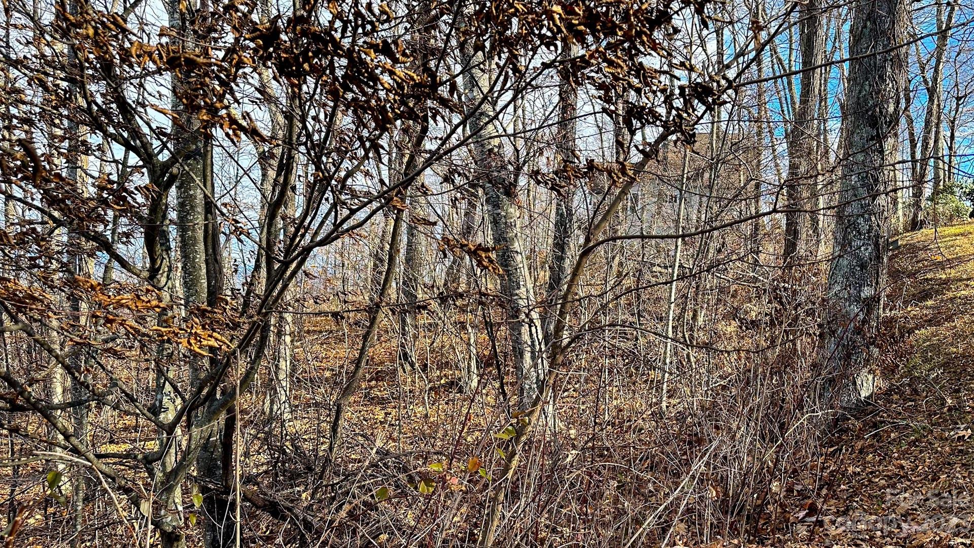 Greystone at Phoenix - Land