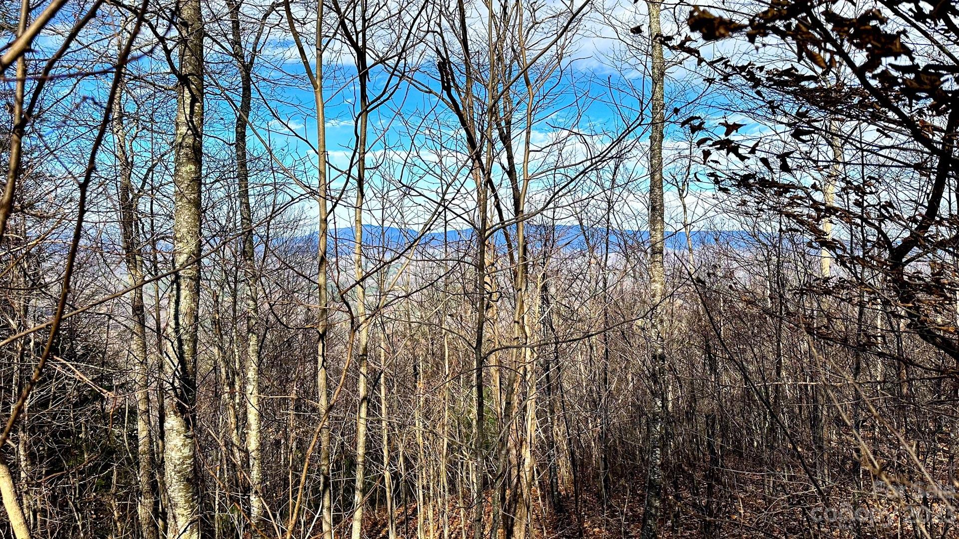 Greystone at Phoenix - Land