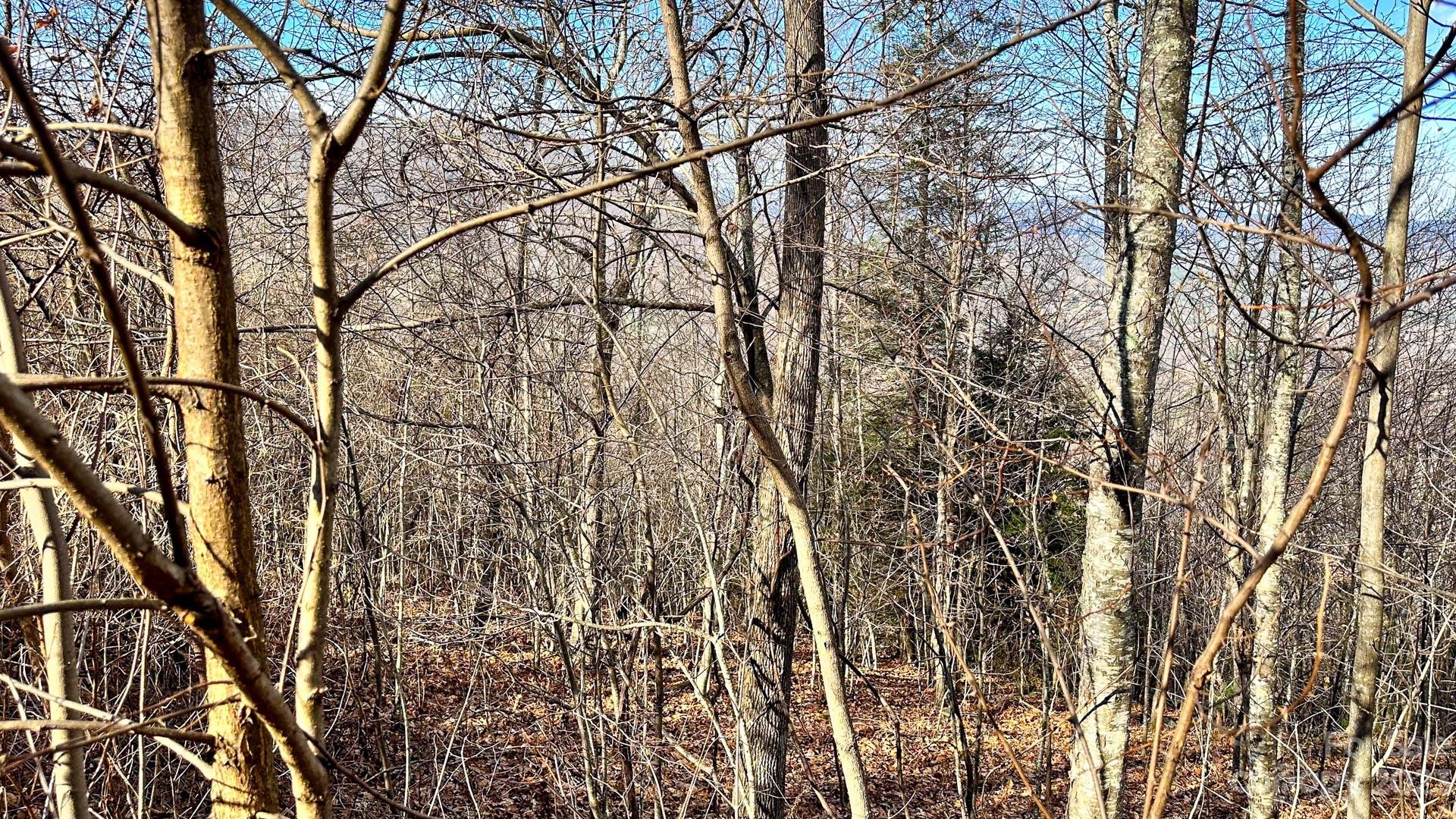 Greystone at Phoenix - Land