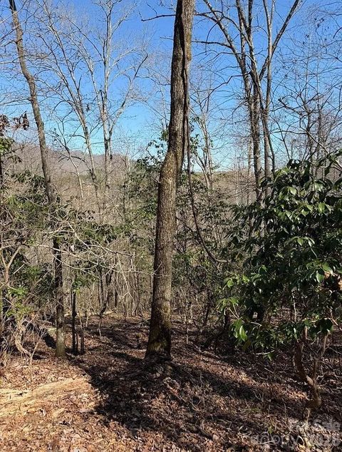 0 Royal Oaks Trail Brasstown NC 28902