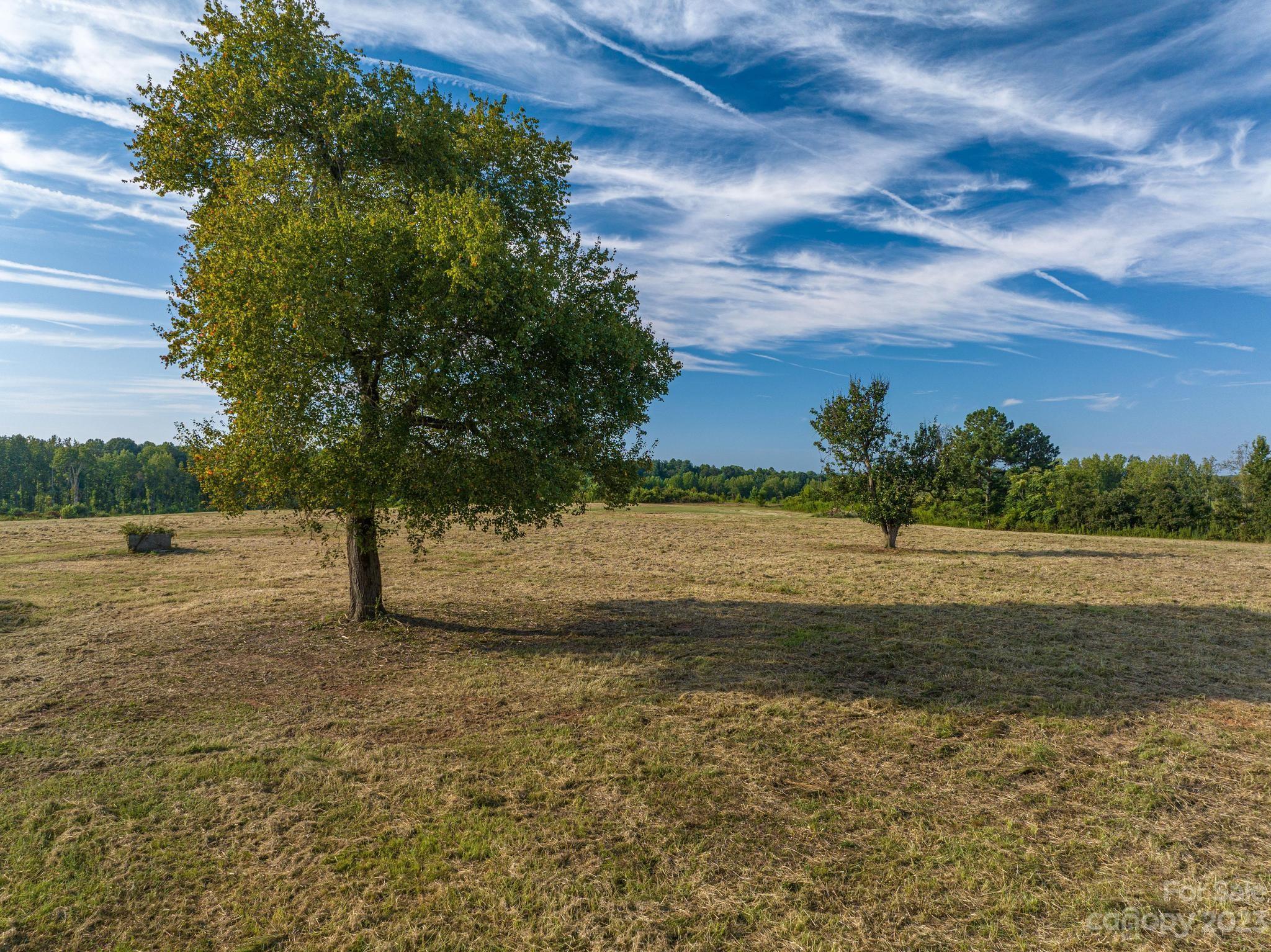 McCurry Farms - Land