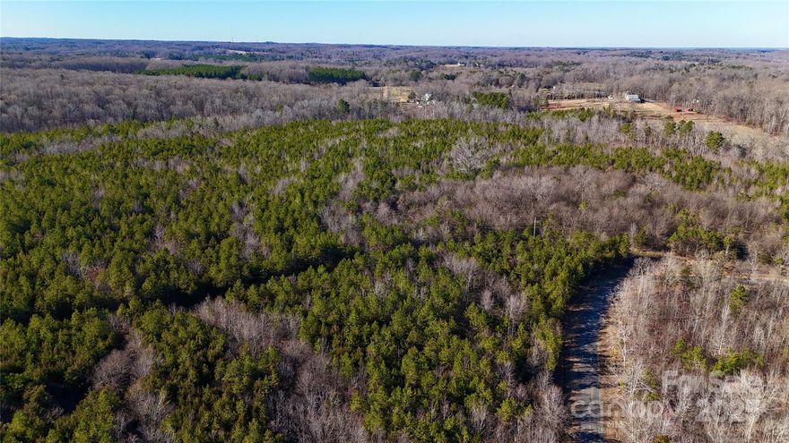 This expansive 65-acre property is a wooded haven featuring a meandering creek along the back border. Currently designated as timber land with a Forestry Plan, it presents numerous opportunities including hunting, outdoor activities, and recreation. The land is also available to subdivide. This property is located near I-485 and the city of Mint Hill with easy access to shopping, recreation, and dining options. This could be the ideal property you’ve been searching for to fulfill your needs!