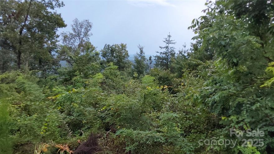 I want to welcome you to the beautiful 45.54 acre blank canvas of trees and nature close to the top of the gorgeous Yellowtop Mountain Estates, located about 10 minutes outside the town square of Bostic NC, If you are tired of a fast paced life and want to relax, but not so far away you can't get to Asheville, or Charlotte for work or play, this is where you want to be, depending on how you build here you can have a beautiful NW to SW view of the porch with a little more clearing, or have a long driveway leading to a tucked away homeplace,  I invite you to come check it out!!!!