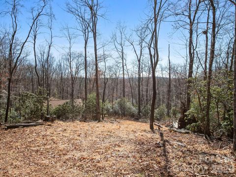 0 Alpen Rose Way 2 Mills River NC 28759