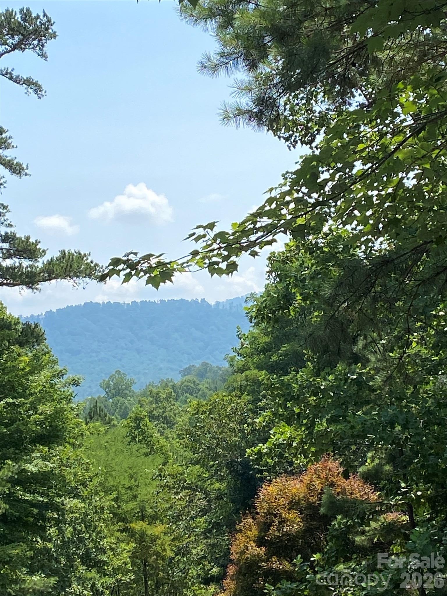Lot 51 Ridgecrest Drive 51