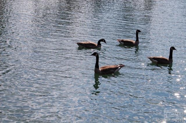 Lake James - Residential
