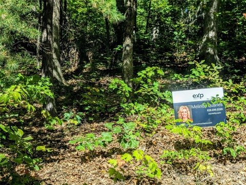 Photo of 0000 Mackenzie Way, Swannanoa, NC 28778 (MLS # 4429451)