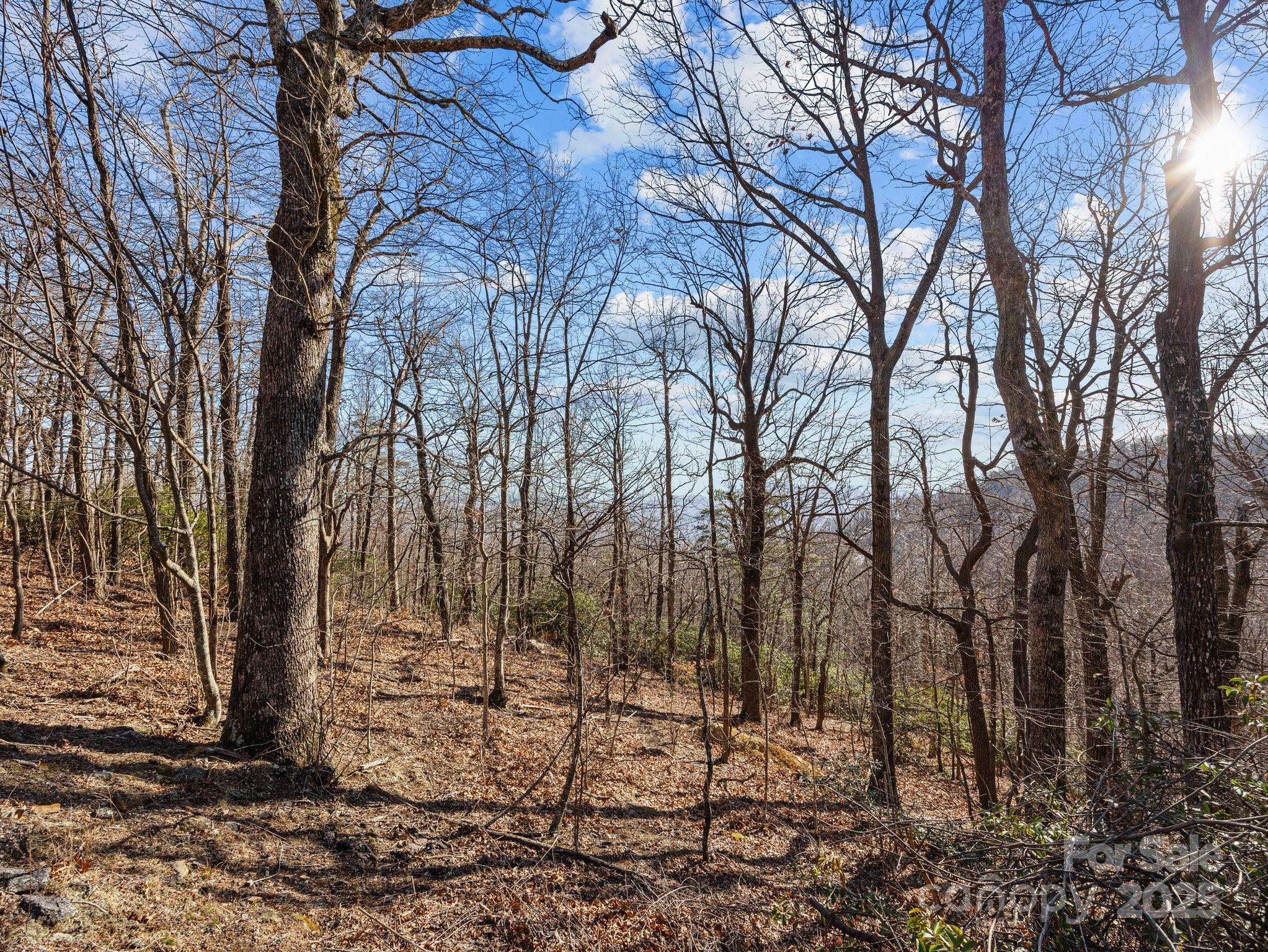 White Oak Mountain - Land