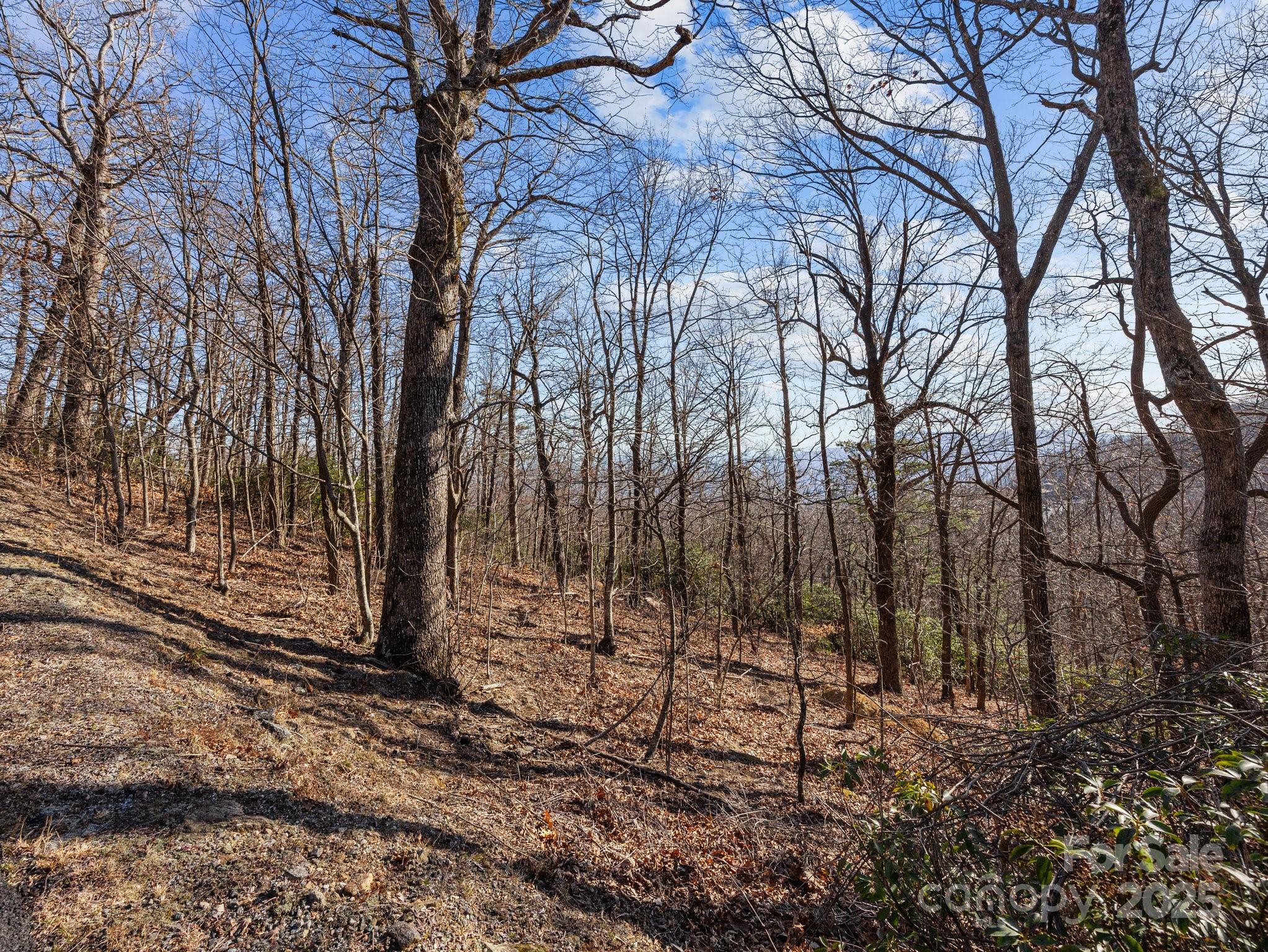 White Oak Mountain - Land