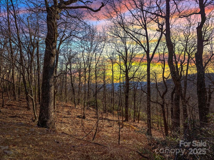 Perched above the waterfalls just beneath the clouds is a gently sloping, buildable, one acre lot. Trememdous long range views of this south facing lot,  bordered by common land on one side.  White oak mountain boast over 400 acres of greenspace.  With a beautiful community park and pavillion for social gathering.  Along with three fishing ponds, stocked with trout, and small and large mouth bass. Wildlife is abundant in the area. 20 Minutes to the Tryon International Equestrian Center, 30 minutes to Hendersonville, 45 minutes to Asheville or Spartanburg. 
Proposed Seller Financing Terms: $15000 down, $400/month for 15 years
Topo survey, 4 Bedroom Septic Permit and Well Permit.  Listing agent is owner.