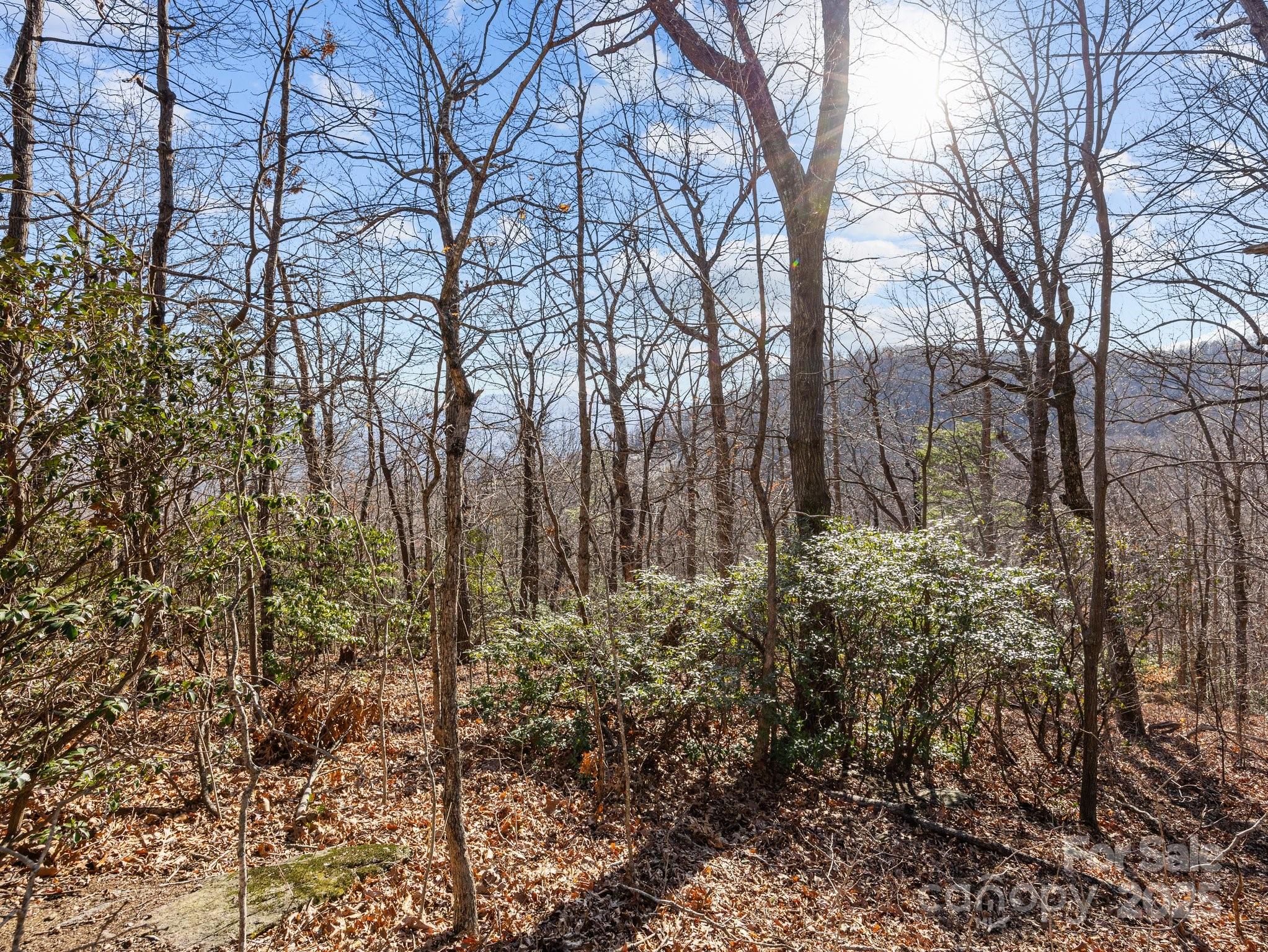 White Oak Mountain - Land