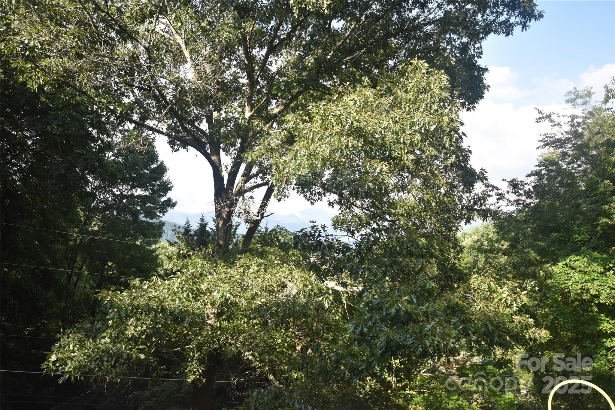 Utah Mountain Estates - Residential