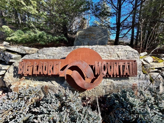 275 OVERLOOK LN # 22, MARSHALL, NC 28753 - Image bebabbc6abfcae1a5634d901a56e5a5d/1781705488