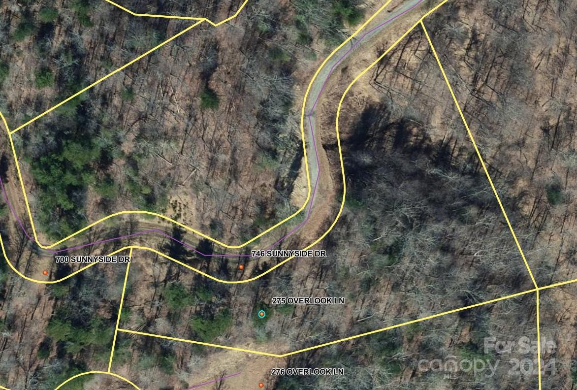 Big Laurel Mountain - Land