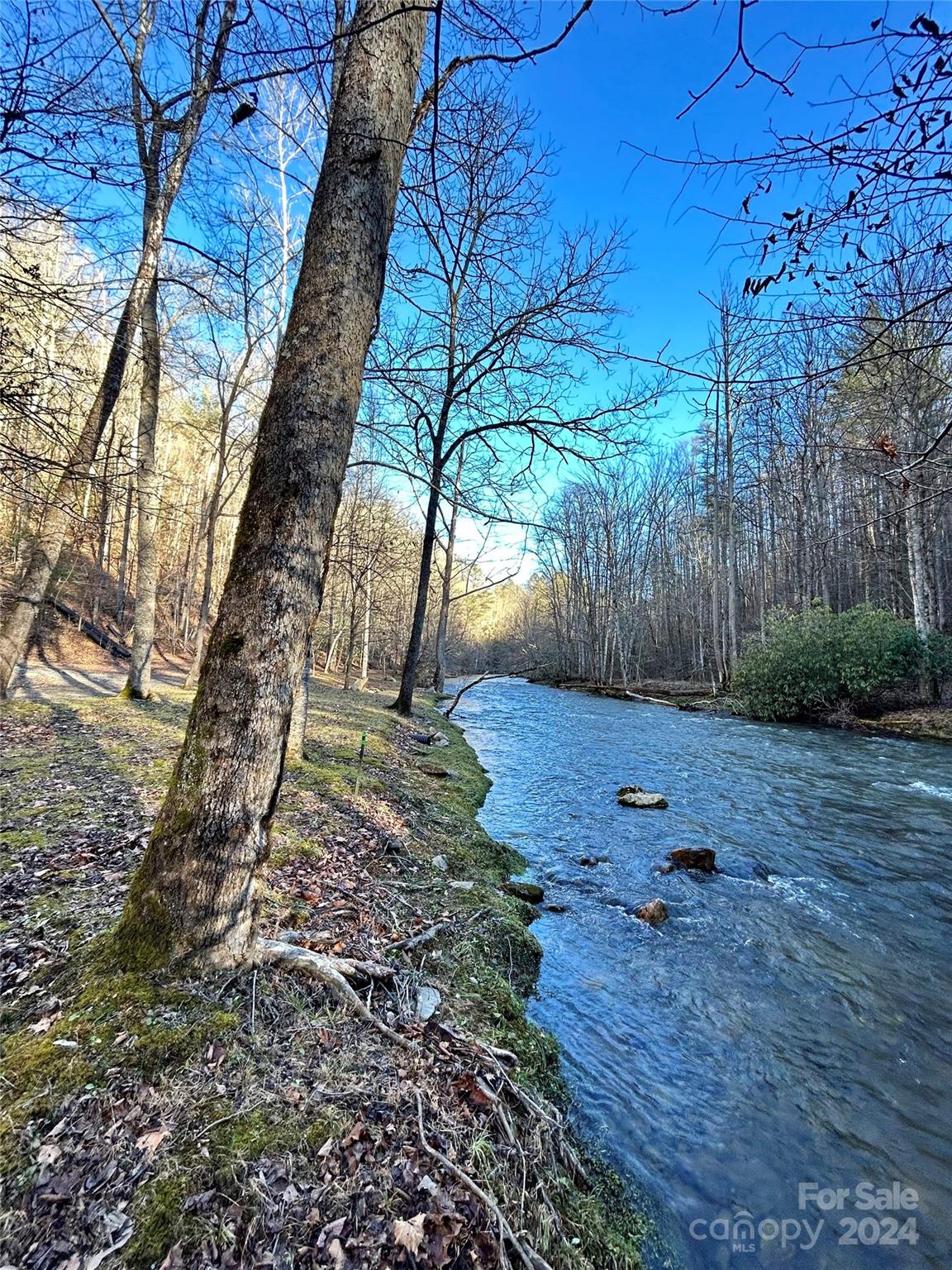 Big Laurel Mountain - Land