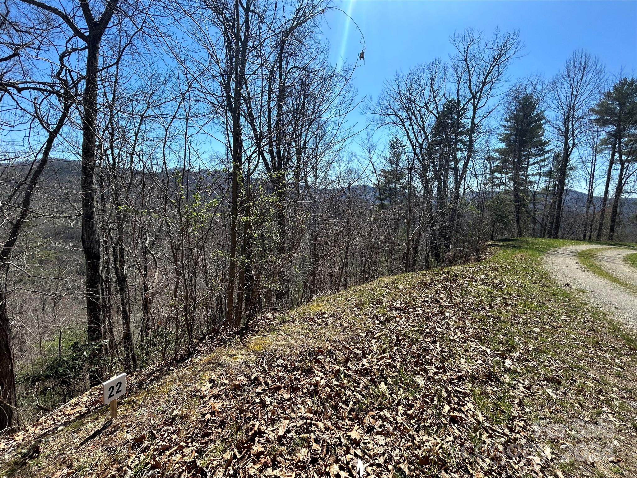 Big Laurel Mountain - Land