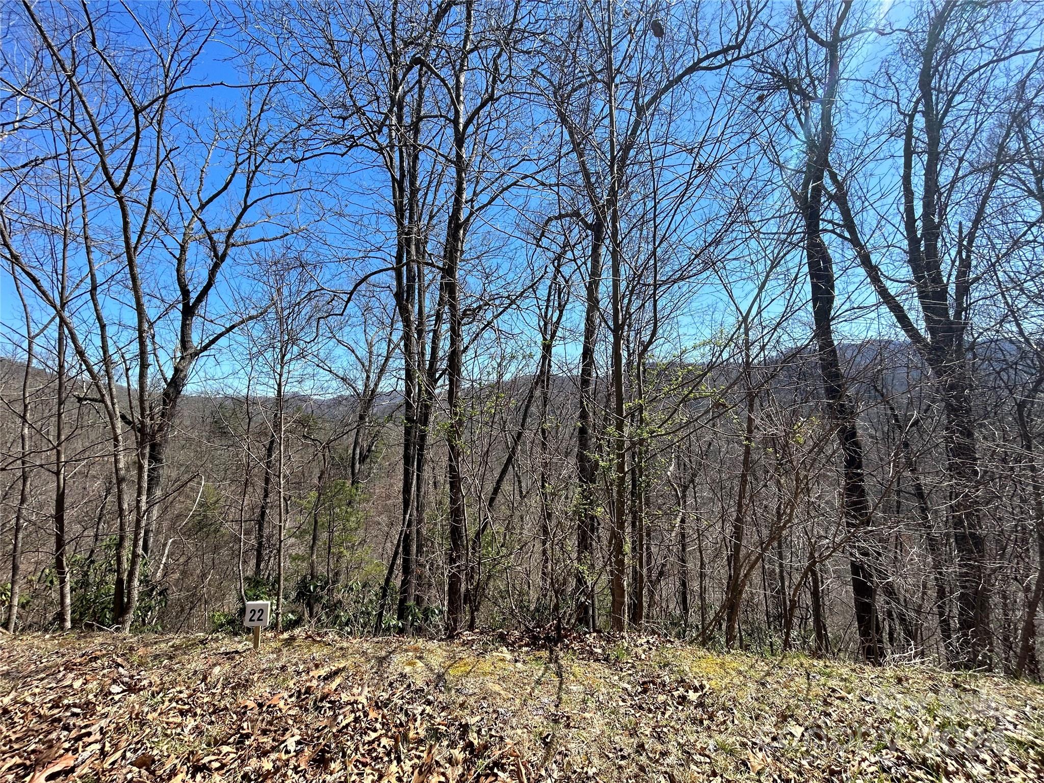 Big Laurel Mountain - Land